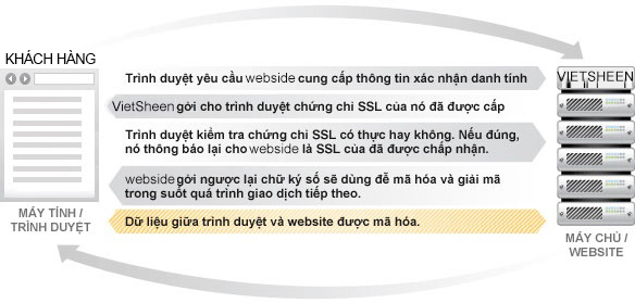SSL là gì